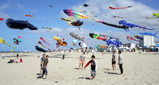 Фотохроника 6 апреля