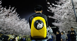 Лучшие фото недели