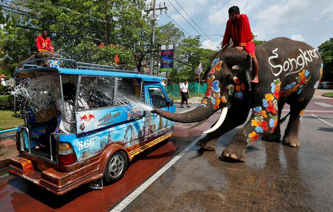 В Таиланде начали празднование Сонгкрана - тайского нового года. Традиционно в этот праздник жители страны отдают дань уважения пожилым людям, ходят в буддийские храмы, где омывают статуи Будды водой, а также обливают друг друга. Слоны присоединяются к ежегодным торжествам и принимают участие в водных боях.