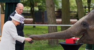 Лучшие фото недели