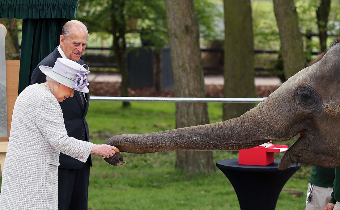 Королева Великобритании Елизавета II и герцог Эдинбургский в Уипснейдском зоопарке, где они приняли участие в открытии нового центра по уходу за слонами во время своего визита в графство Бедфордшир