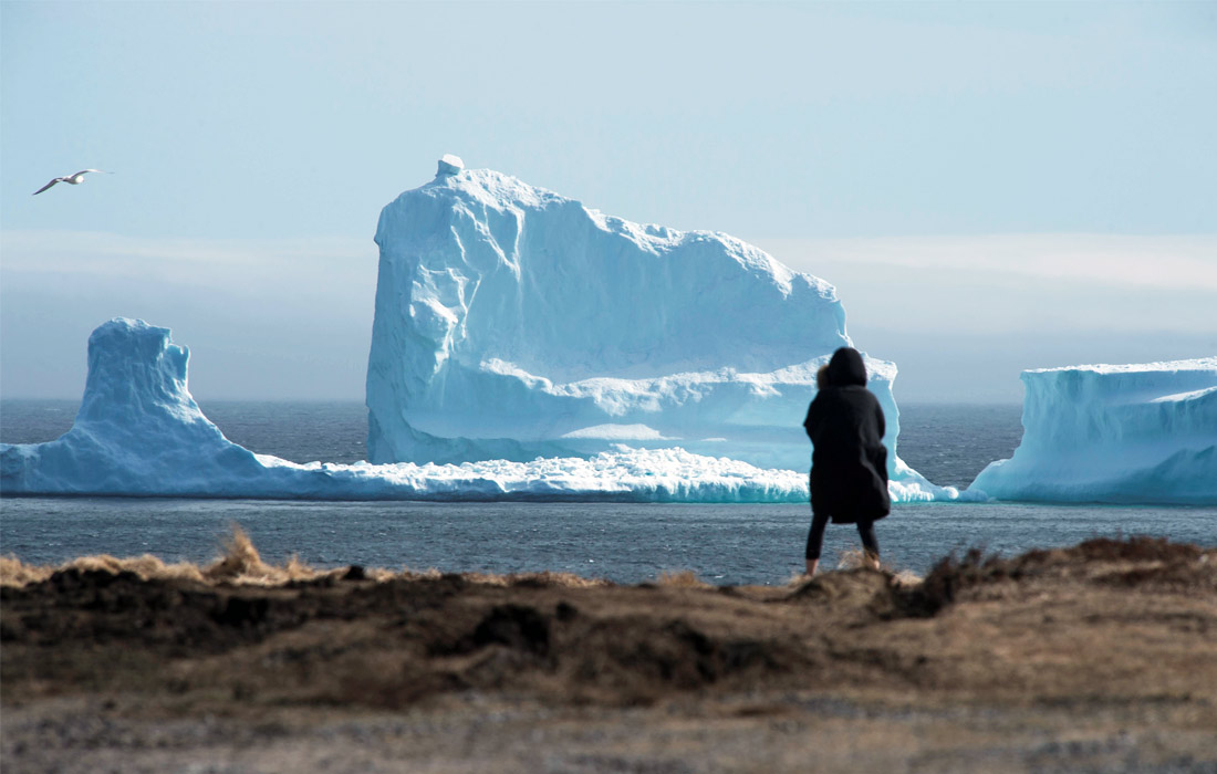 Местные жители и туристы собрались у побережья канадского города Ферриленд, чтобы посмотреть на айсберги. Каждую весну огромные глыбы льда приплывают из Арктики и выстраиваются в так называемую "аллею айсбергов" протяженностью в несколько тысяч километров.