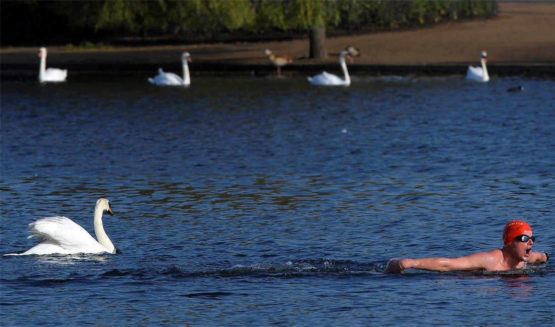 С наступлением весны Гайд-парк Лондона привлекает большое количество пловцов, желающих получить заряд свежести в прохладной воде озера Серпентайн