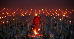 Лучшие фото недели