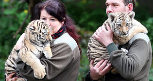 Фотохроника 10 мая