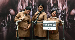 Фотохроника 12 мая