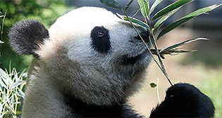 Фотохроника 19 мая