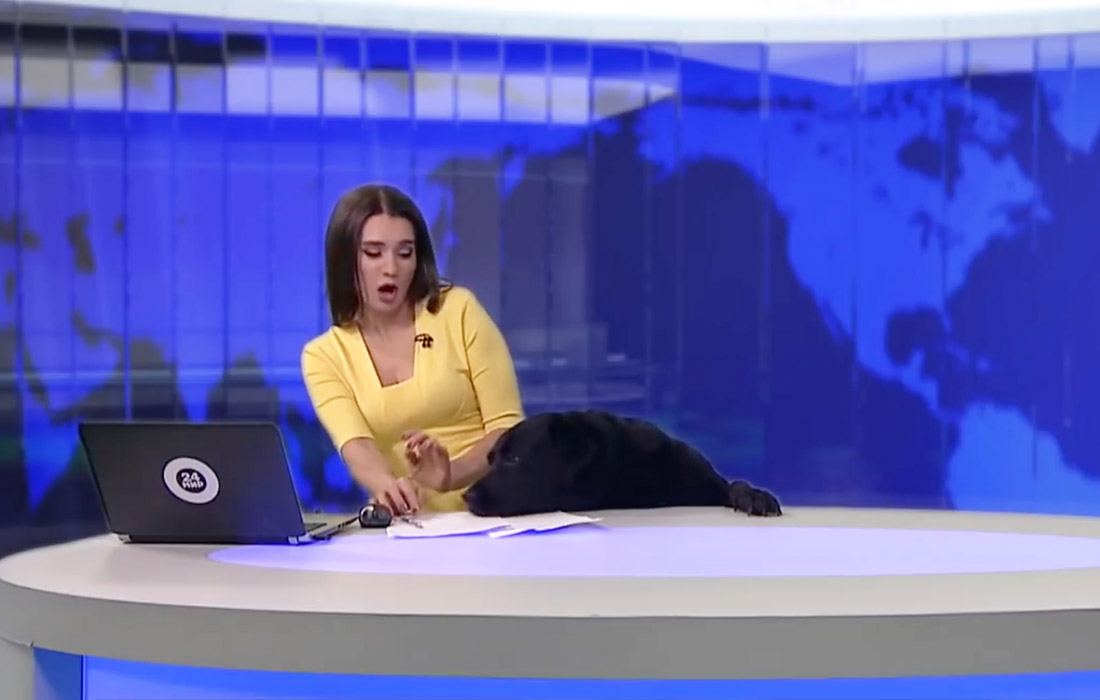 Курьёз в прямом эфире телеканала "МИР 24"