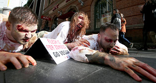 Фотохроника 15 июня