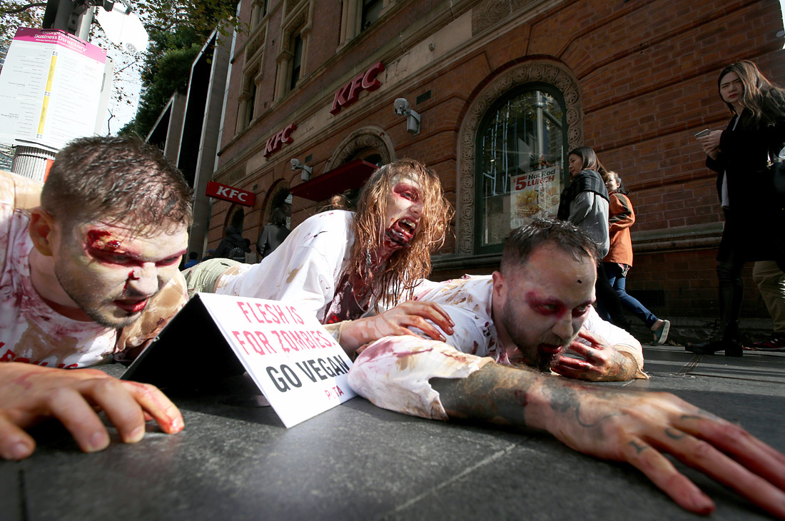 Активисты движения PETA устроили акцию в поддержку перехода на вегетарианство на дороге перед рестораном быстрого питания в Сиднее