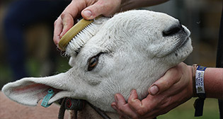 Лучшие фото недели