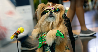 Фотохроника 29 июня