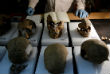 По мнению историков, черепа принадлежали воинам, которые попадали в плен к ацтекам. Однако отмечается, что помимо мужских останков было найдено множество черепов, принадлежавших женщинам и детям.