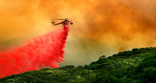 Лучшие фото недели