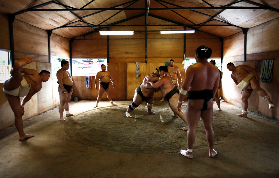 Как правило, перед большими турнирами спортсмены живут вместе в жилых и учебных комплексах, где все аспекты жизни, от сна и еды до подготовки и свободного времени строго регламентированы. День борца сумо начинается с утренней трехчасовой тренировки, которая требует полной отдачи сил и предельной концентрации.