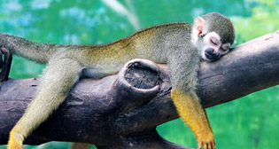 Лучшие фото недели