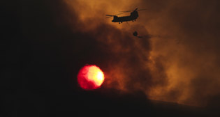 Фотохроника 16 августа