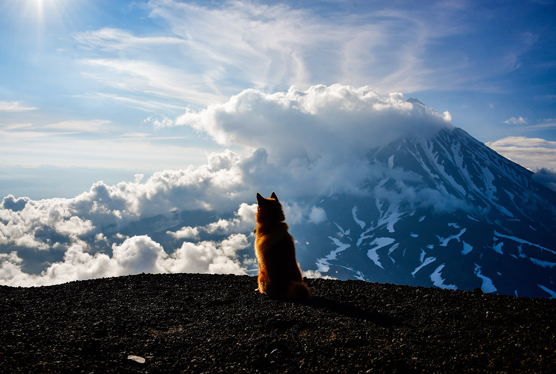 недвижимость в поселке 8 марта