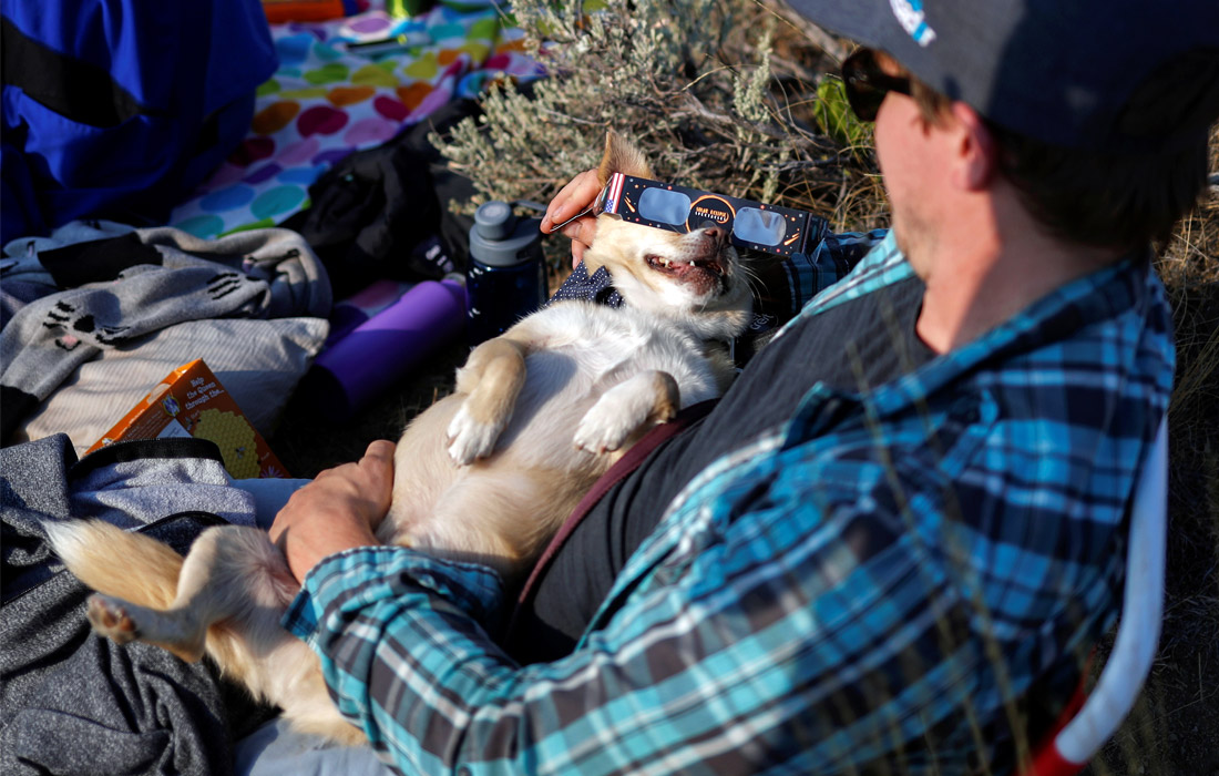 Наблюдая за солнечным затмением американцы не забывали о своих питомцах