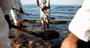 Фотохроника 14 сентября