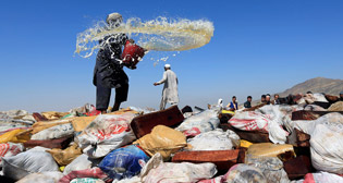 Фотохроника 26 сентября