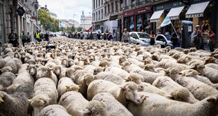 Фотохроника 9 октября