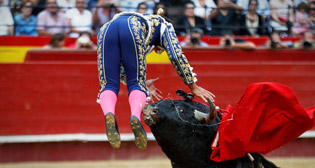 Фотохроника 10 октября