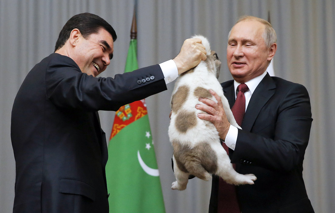 Президент Туркмении Гурбангулы Бердымухамедов поздравил российского коллегу Владимира Путина с днем ангела и подарил ему щенка алабая по кличке Верный. Президент России известен своей любовью к собакам. Многие годы рядом с ним была лабрадор Кони, подаренная Сергеем Шойгу. Сегодня у Владимира Путина есть две собаки - болгарская овчарка и акита-ину, подаренные зарубежными партнерами.