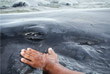 Эксперты выясняют причины, побудившие китов выброситься на берег