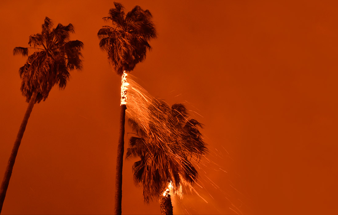 Лесные пожары бушуют в американском штате Калифорния. Возгорание охватило около 12 кв. км. Огонь повредил линии электропередач, в связи с чем более 260 тыс. человек на юге штата остались без электроснабжения. В результате разгула стихии погиб по меньшей мере один человек.