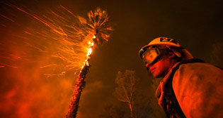 Калифорния в огне