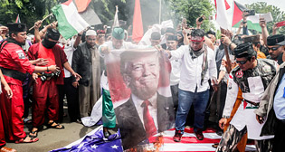 Фотохроника 11 декабря