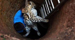 Фотохроника 13 декабря