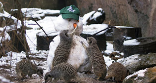 Лучшие фото недели