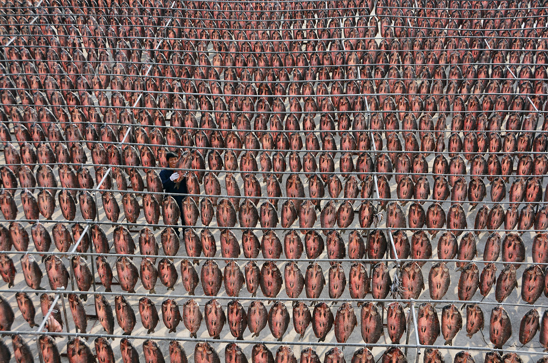 Сушка рыбы в китайской провинции Чжэцзян