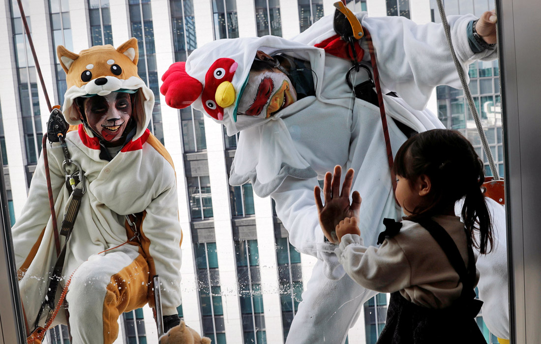 В Японии в преддверии Нового года пара промышленных альпинистов облачились в костюмы символов уходящего и наступающего годов – петуха и собаки. Рабочие вымыли окна одного из высотных зданий Токио.