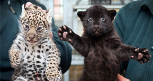 Лучшие фото недели