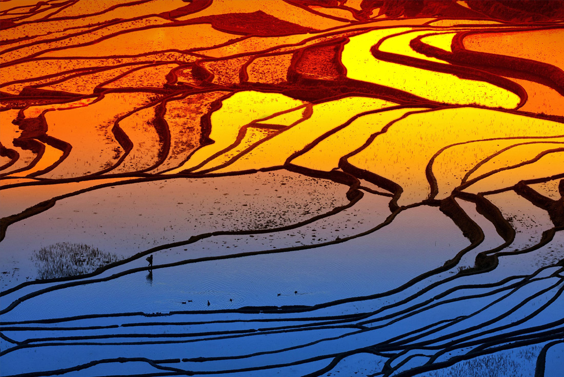 Рисовые террасы в южной китайской провинции Юньнань