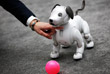 Робот-собака Aibo, разработанная компанией Sony