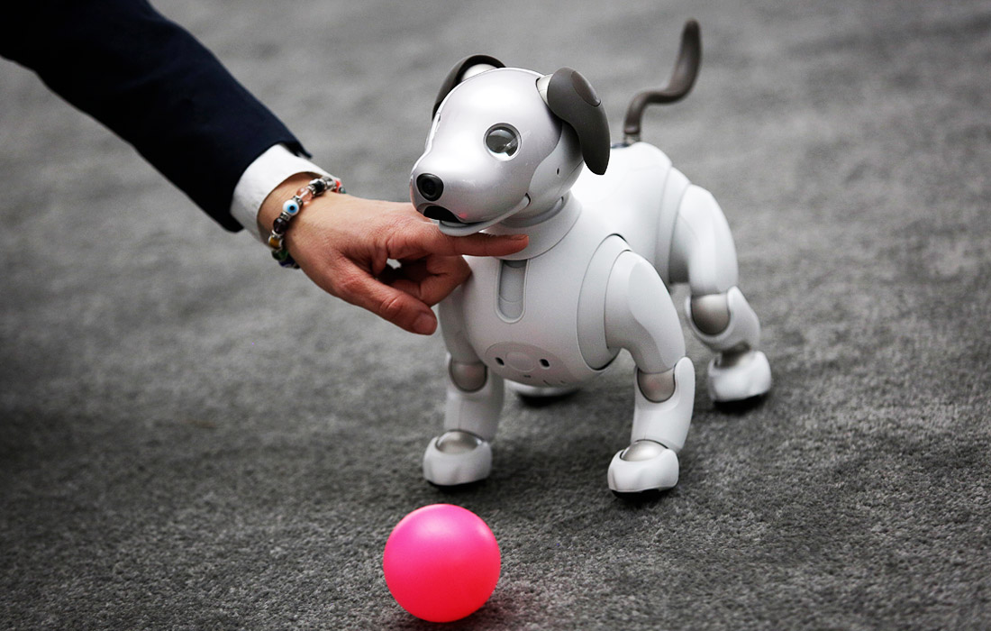 Робот-собака Aibo, разработанная компанией Sony