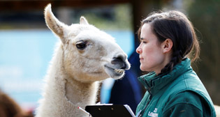 Фотохроника 7 февраля