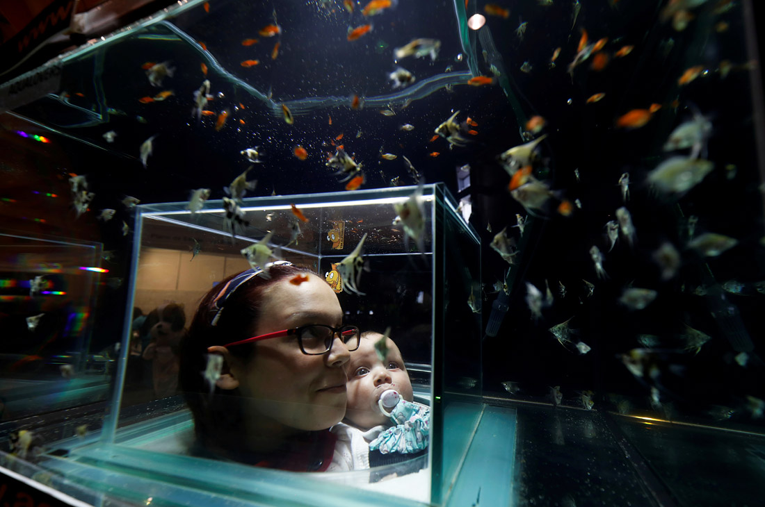 Посетители фестиваля домашних животных в Лиссабоне любуются рыбками