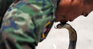 Фотохроника 19 февраля