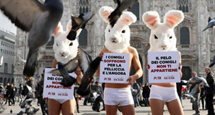 Фотохроника 21 февраля