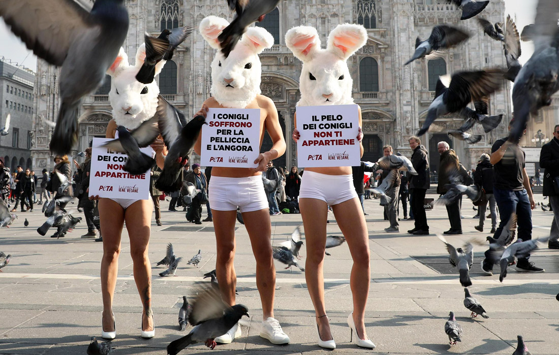 Активисты движения PETA устроили акцию протеста перед Миланским Собором, призывая отказаться от использования натурального меха