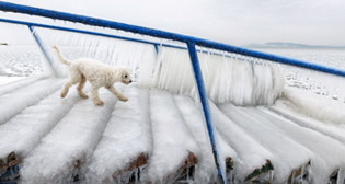 В Европу пришли аномальные морозы