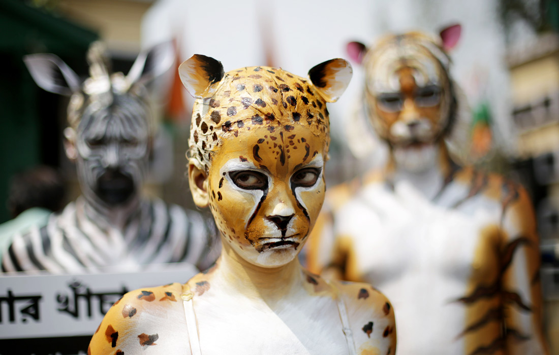 Активисты PETA провели акцию протеста против содержания диких животных в неволе возле зоопарка в Калькутте