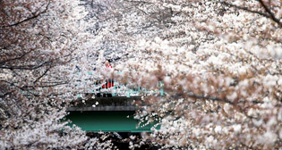 Фотохроника 23 марта