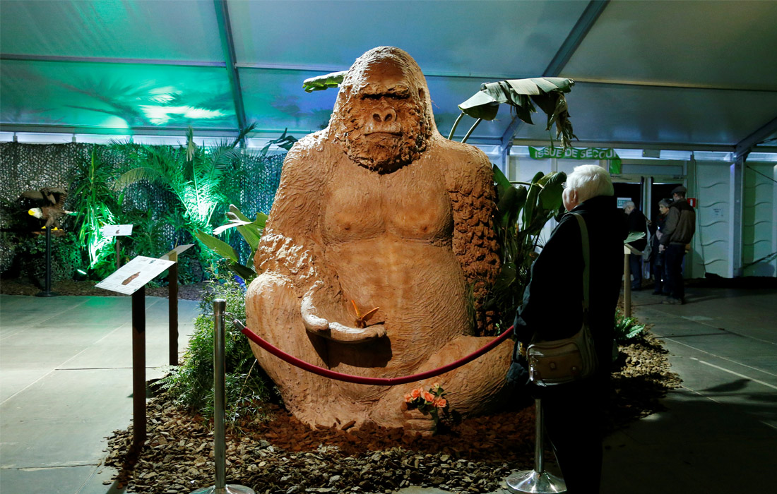 В бельгийском городе Дюрбюи проходит фестиваль шоколадных скульптур. В этом году темой фестиваля стали "Джунгли". Посетителям были представлены шоколадные фигуры животных и птиц в натуральную величину.