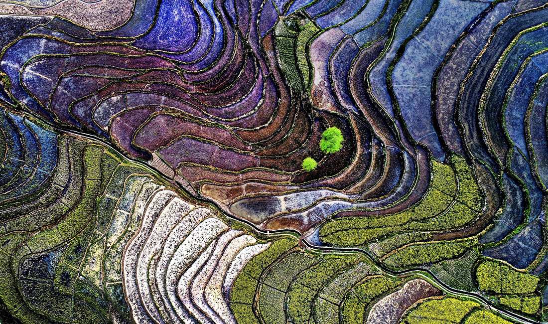 Террасное земледелие в Китае